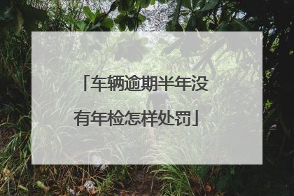 车辆逾期半年没有年检怎样处罚