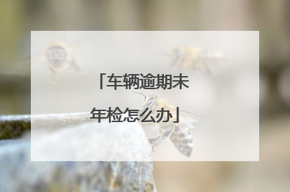车辆逾期未年检怎么办