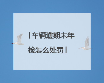 车辆逾期未年检怎么处罚