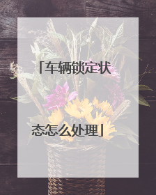 车辆锁定状态怎么处理