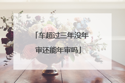 车超过三年没年审还能年审吗