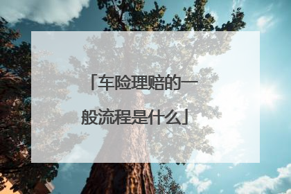 车险理赔的一般流程是什么