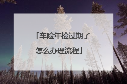 车险年检过期了怎么办理流程