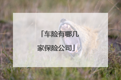 车险有哪几家保险公司