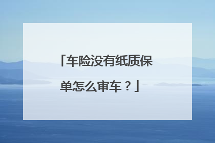 车险没有纸质保单怎么审车？