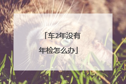 车2年没有年检怎么办