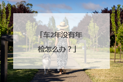 车2年没有年检怎么办？