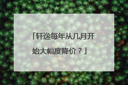 轩逸每年从几月开始大幅度降价？
