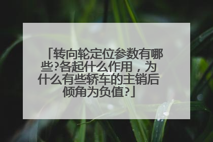 转向轮定位参数有哪些?各起什么作用，为什么有些轿车的主销后倾角为负值?