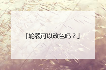 轮毂可以改色吗？
