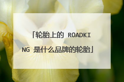轮胎上的 ROADKING 是什么品牌的轮胎