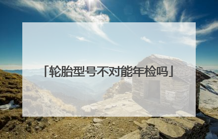 轮胎型号不对能年检吗