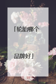 轮胎哪个品牌好