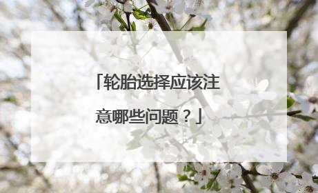 轮胎选择应该注意哪些问题？