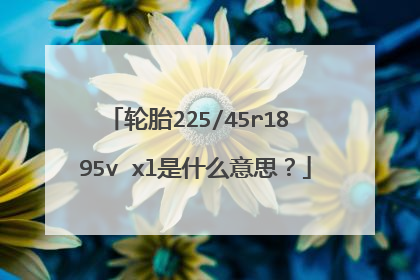 轮胎225/45r18 95v xl是什么意思？