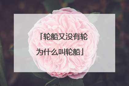 轮船又没有轮为什么叫轮船