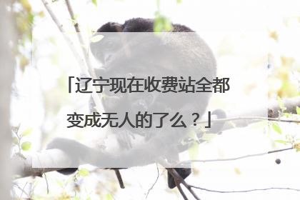 辽宁现在收费站全都变成无人的了么？