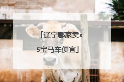 辽宁哪家卖x5宝马车便宜