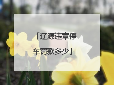 辽源违章停车罚款多少