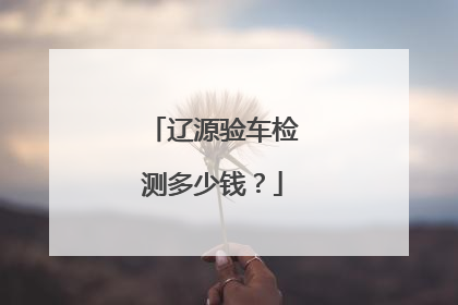 辽源验车检测多少钱？