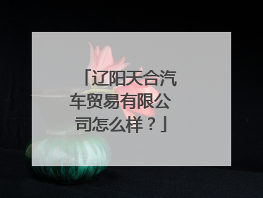 辽阳天合汽车贸易有限公司怎么样？