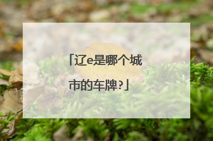 辽e是哪个城市的车牌?