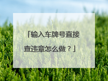 输入车牌号直接查违章怎么做？