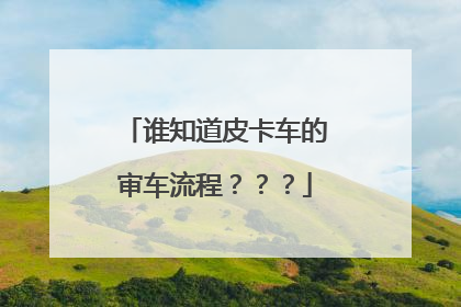 谁知道皮卡车的审车流程？？？