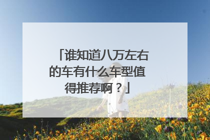 谁知道八万左右的车有什么车型值得推荐啊？