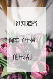 谁知道咨询车子年检的电话