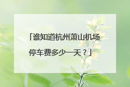 谁知道杭州萧山机场停车费多少一天？