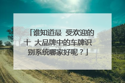 谁知道最 受欢迎的十 大品牌中的车牌识别系统哪家好呢？