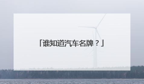 谁知道汽车名牌？