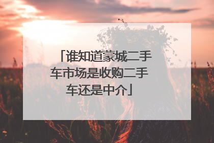 谁知道蒙城二手车市场是收购二手车还是中介