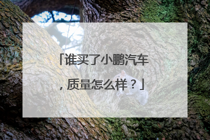 谁买了小鹏汽车，质量怎么样？