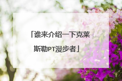 谁来介绍一下克莱斯勒PT漫步者