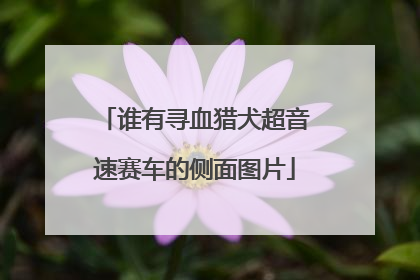 谁有寻血猎犬超音速赛车的侧面图片