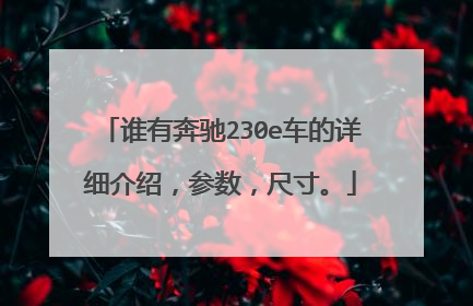 谁有奔驰230e车的详细介绍，参数，尺寸。