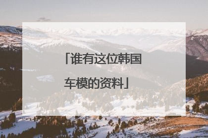 谁有这位韩国车模的资料