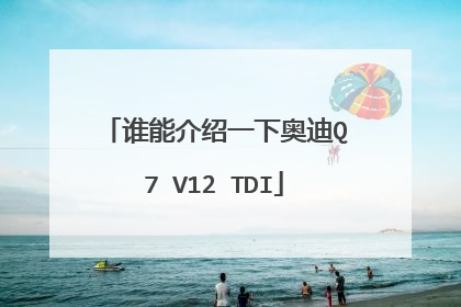 谁能介绍一下奥迪Q7 V12 TDI