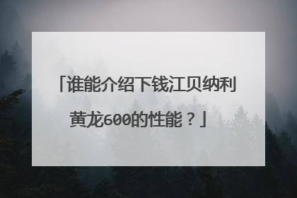 谁能介绍下钱江贝纳利黄龙600的性能？
