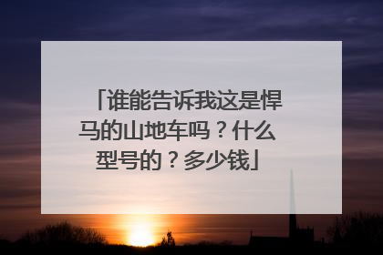 谁能告诉我这是悍马的山地车吗？什么型号的？多少钱