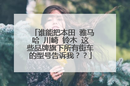 谁能把本田 雅马哈 川崎 铃木 这些品牌旗下所有街车的型号告诉我？？
