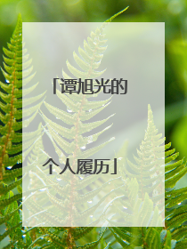 谭旭光的个人履历