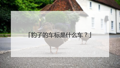 豹子的车标是什么车？