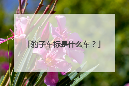 豹子车标是什么车？