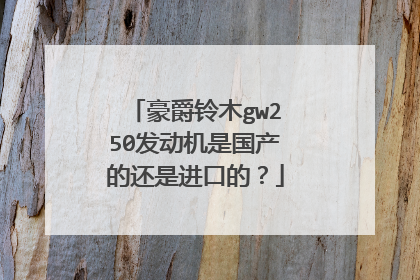 豪爵铃木gw250发动机是国产的还是进口的？