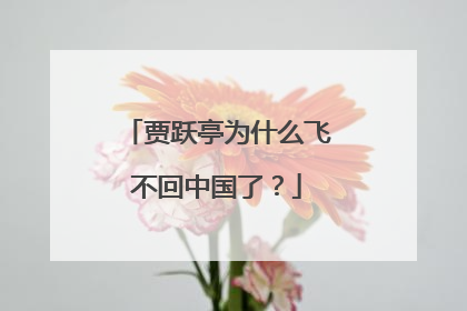 贾跃亭为什么飞不回中国了？