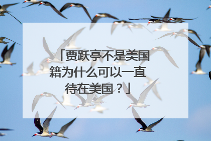 贾跃亭不是美国籍为什么可以一直待在美国？