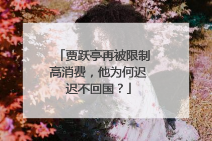 贾跃亭再被限制高消费，他为何迟迟不回国？